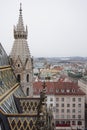 View of winter Vienna from the tower of St. StephenÃ¢â¬â¢s Cathedral. City in a haze.